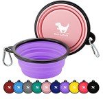 Collapsible Travel Dog Bowls - 2-Pack Set