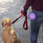 Collapsible Travel Dog Bowls - 2-Pack Set