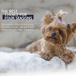 Pink Chihuahua Dog Hoodie - Stylish & Cozy Wear