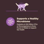 Wellness CORE Senior Digestive Health Dog Food