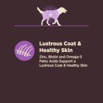 Wellness CORE Senior Digestive Health Dog Food