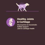 Wellness CORE Senior Digestive Health Dog Food