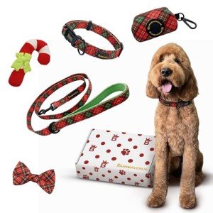 Stylish Dog Collar and Leash Set with Bow