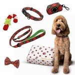 Stylish Dog Collar and Leash Set with Bow