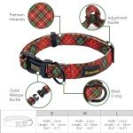 Stylish Dog Collar and Leash Set with Bow