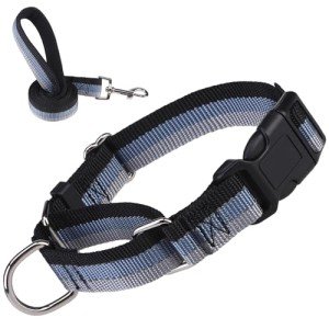 Reflective Martingale Dog Collar and Leash Set