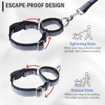 Reflective Martingale Dog Collar and Leash Set