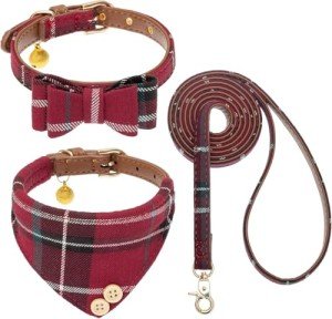 Kooltail Adjustable Dog Collar and Leash Set