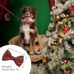 Stylish Dog Collar and Leash Set with Bow