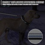 Reflective Martingale Dog Collar and Leash Set