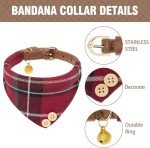 Kooltail Adjustable Dog Collar and Leash Set