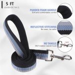 Reflective Martingale Dog Collar and Leash Set