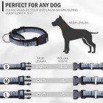 Reflective Martingale Dog Collar and Leash Set