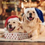 Stylish Dog Collar and Leash Set with Bow