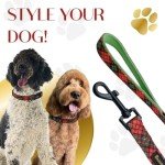 Stylish Dog Collar and Leash Set with Bow