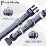 Reflective Martingale Dog Collar and Leash Set