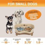 Neater Feeder Express - Mess-Proof Dog Bowls