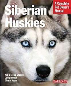 Siberian Husky Care: Your Essential Pet Guide