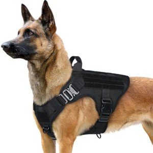 Rabbitgoo Heavy Duty Tactical Dog Harness for Large Breeds