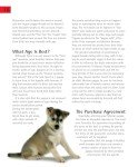Siberian Husky Care: Your Essential Pet Guide