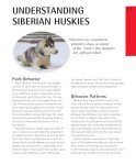Siberian Husky Care: Your Essential Pet Guide