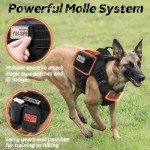Rabbitgoo Heavy Duty Tactical Dog Harness for Large Breeds