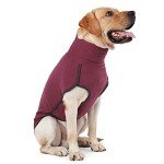 Warm Wine Red Dog Sweater for All Seasons