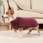 Warm Wine Red Dog Sweater for All Seasons