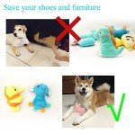26 Multi-Colored Squeaky Toys for Small Dogs