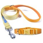 Yellow Nylon Dog Collar and Leash Set