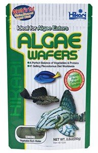 Hikari Tropical Algae Wafers 8.8-Ounce Pack