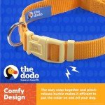 Yellow Nylon Dog Collar and Leash Set