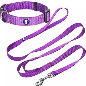 Blueberry Pet Matching Dog Collar and Leash Set