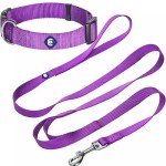 Blueberry Pet Matching Dog Collar and Leash Set