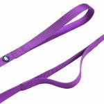 Blueberry Pet Matching Dog Collar and Leash Set