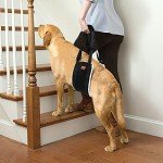 LOOBANI Dog Sling for Rear Leg Support