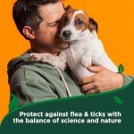 Vet’s Best Advanced Flea and Tick Dog Shampoo