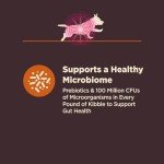 Wellness CORE Digestive Health Dog Food, 4lbs