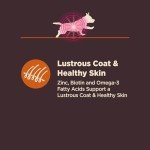 Wellness CORE Digestive Health Dog Food, 4lbs