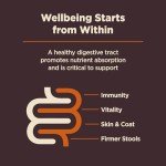 Wellness CORE Digestive Health Dog Food, 4lbs