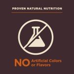 Wellness CORE Digestive Health Dog Food, 4lbs