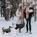 Reversible Waterproof Dog Coat – Cozy Winter Jacket