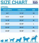 Detroit Lions Pet T-Shirt for Dogs & Cats