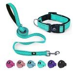 NESTROAD Reflective Dog Collar and Leash Set