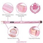 Velvet Dog Collar and Leash Set for Pets