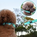 NESTROAD Reflective Dog Collar and Leash Set