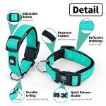 NESTROAD Reflective Dog Collar and Leash Set