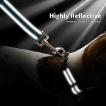 NESTROAD Reflective Dog Collar and Leash Set