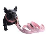 Velvet Dog Collar and Leash Set for Pets