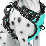PoyPet No Pull Reflective Dog Harness - Mint Blue